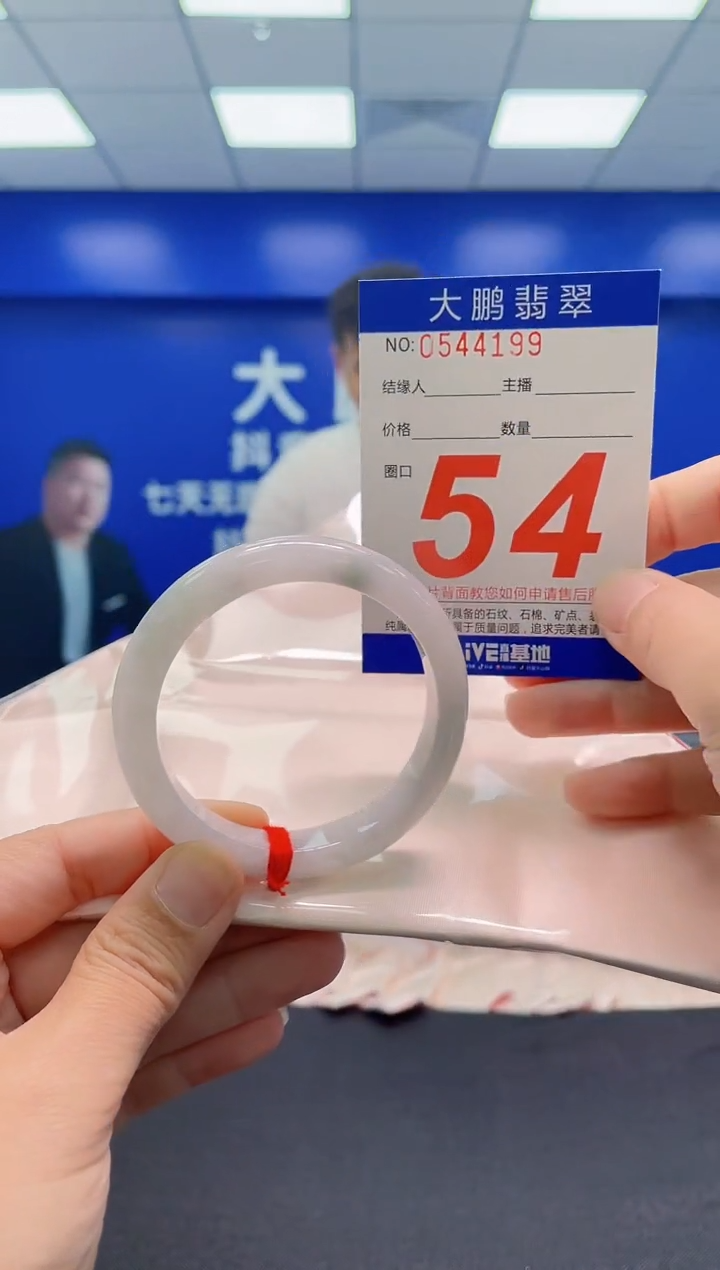 未镶嵌手镯翡翠AAAAAAAAA