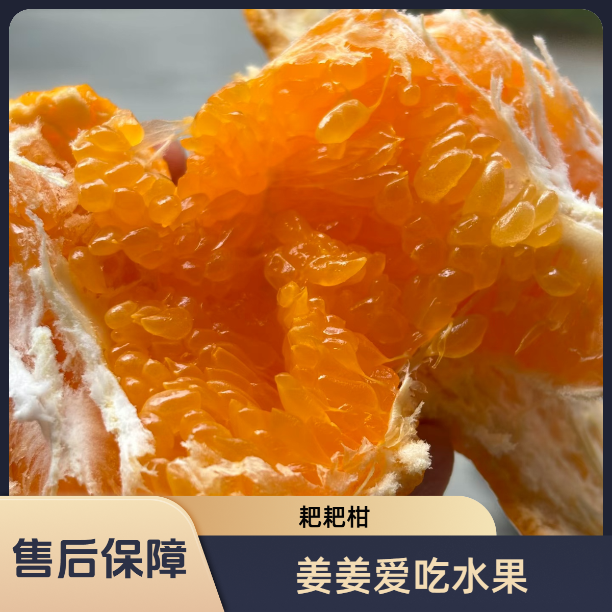 【国强耙耙柑】 鲜甜爆汁    果香浓郁  净重4.5以上一箱