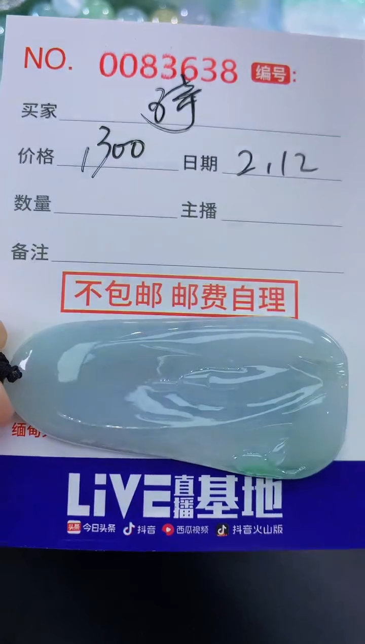【闪购商品】翡翠颈饰未镶嵌琦