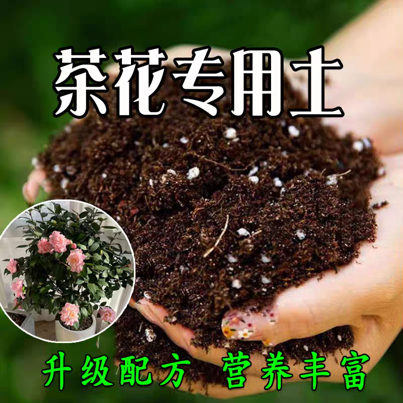 疏松透气茶花专用营养土适合盆栽种菜养花多肉育苗