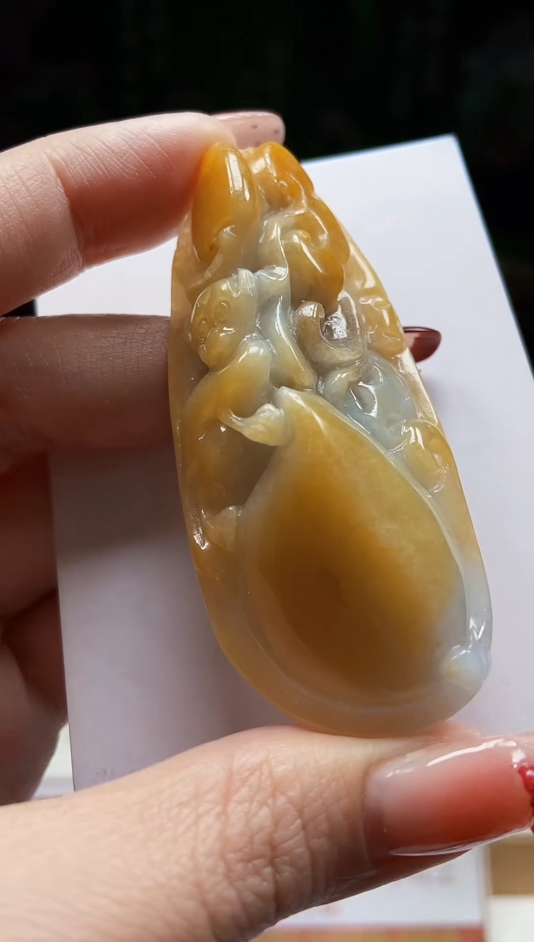 颈饰未镶嵌翡翠翡翠A货