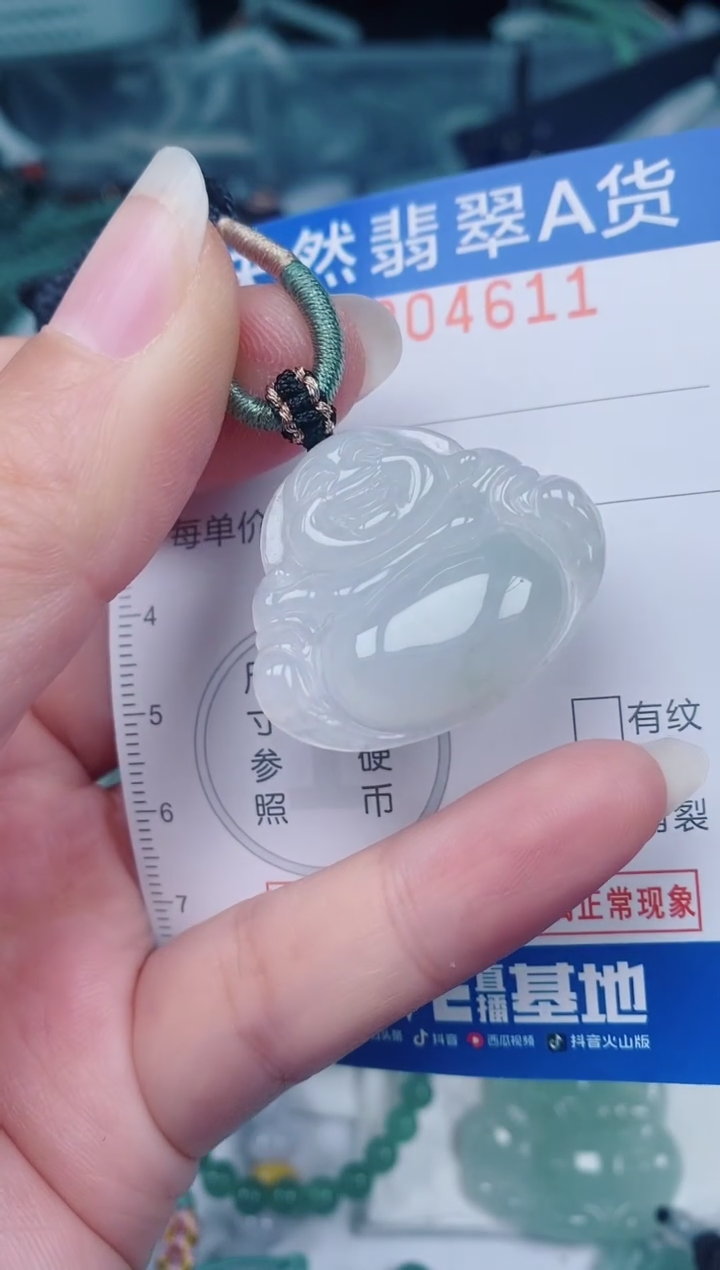 颈饰未镶嵌翡翠00004611