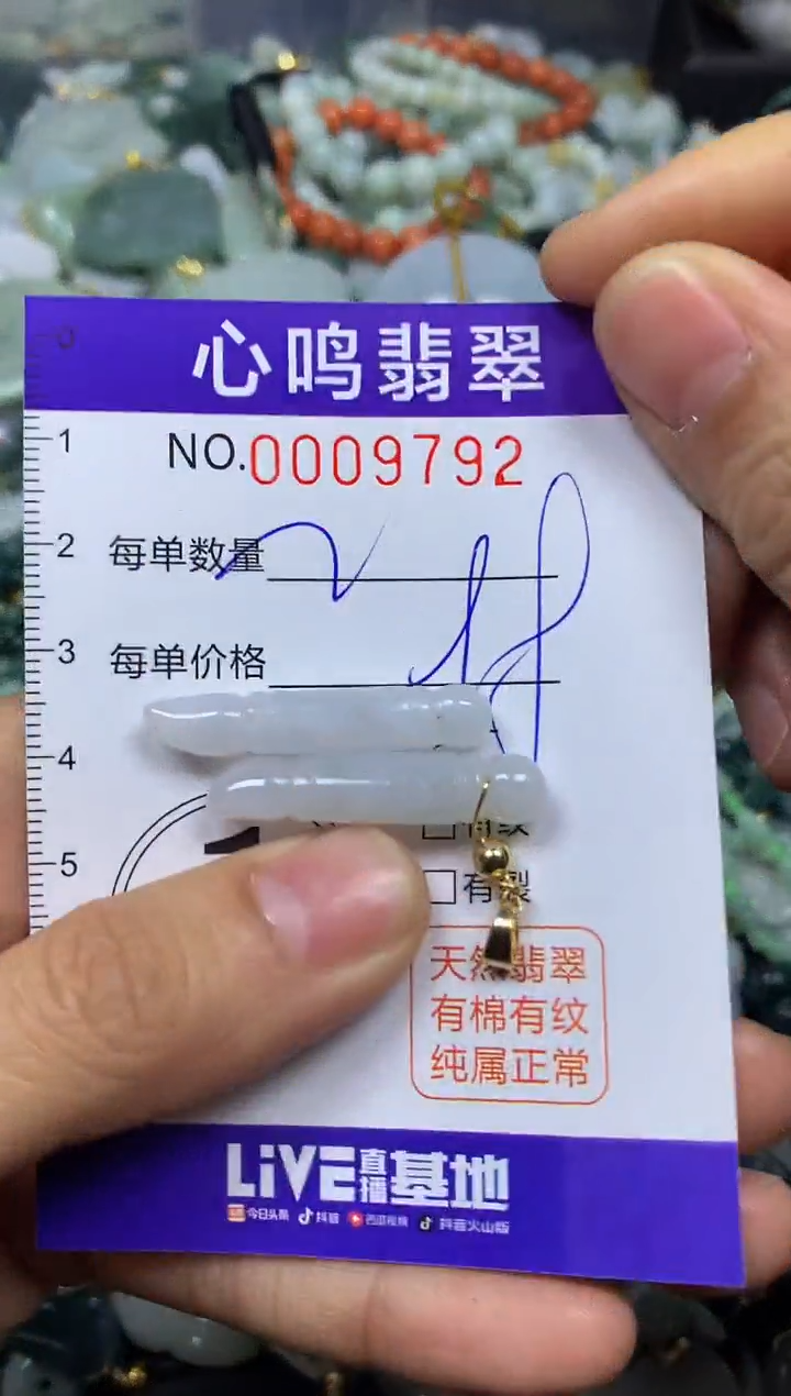 【闪购商品】翡翠颈饰未镶嵌闪购009792