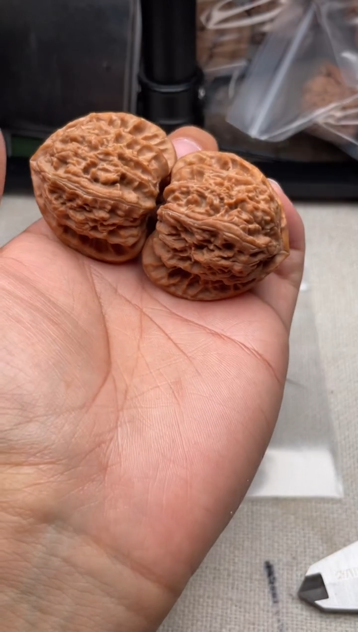 把件文玩核桃胡*1204-胡某-三角白