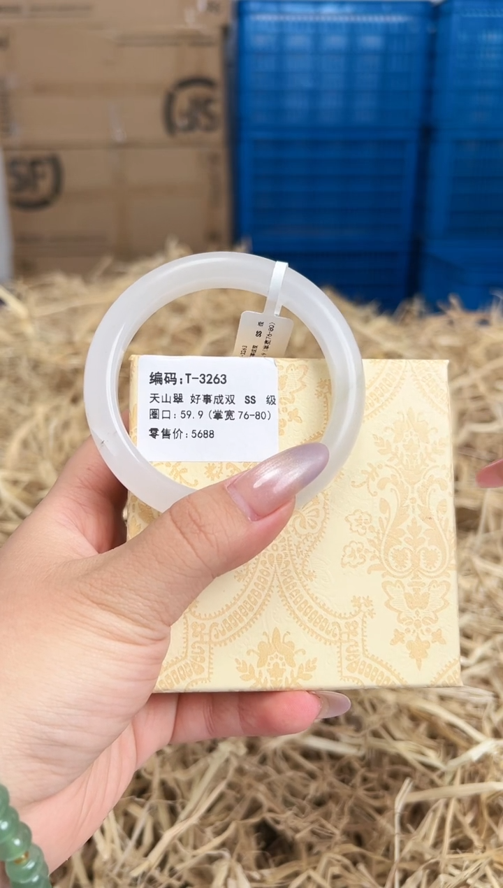 未镶嵌手镯石英质玉T-3263