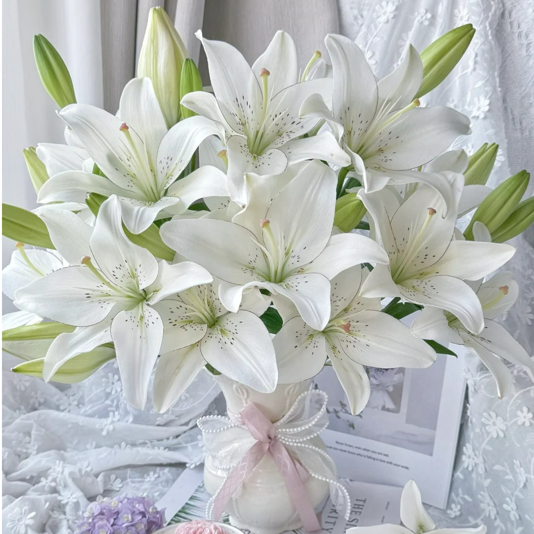 【上海种业】眼线 亚百合 鲜切花云南基地直发