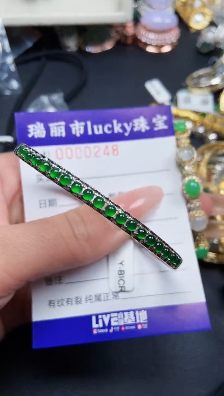 【闪购商品】翡翠颈饰银S925镶嵌0248