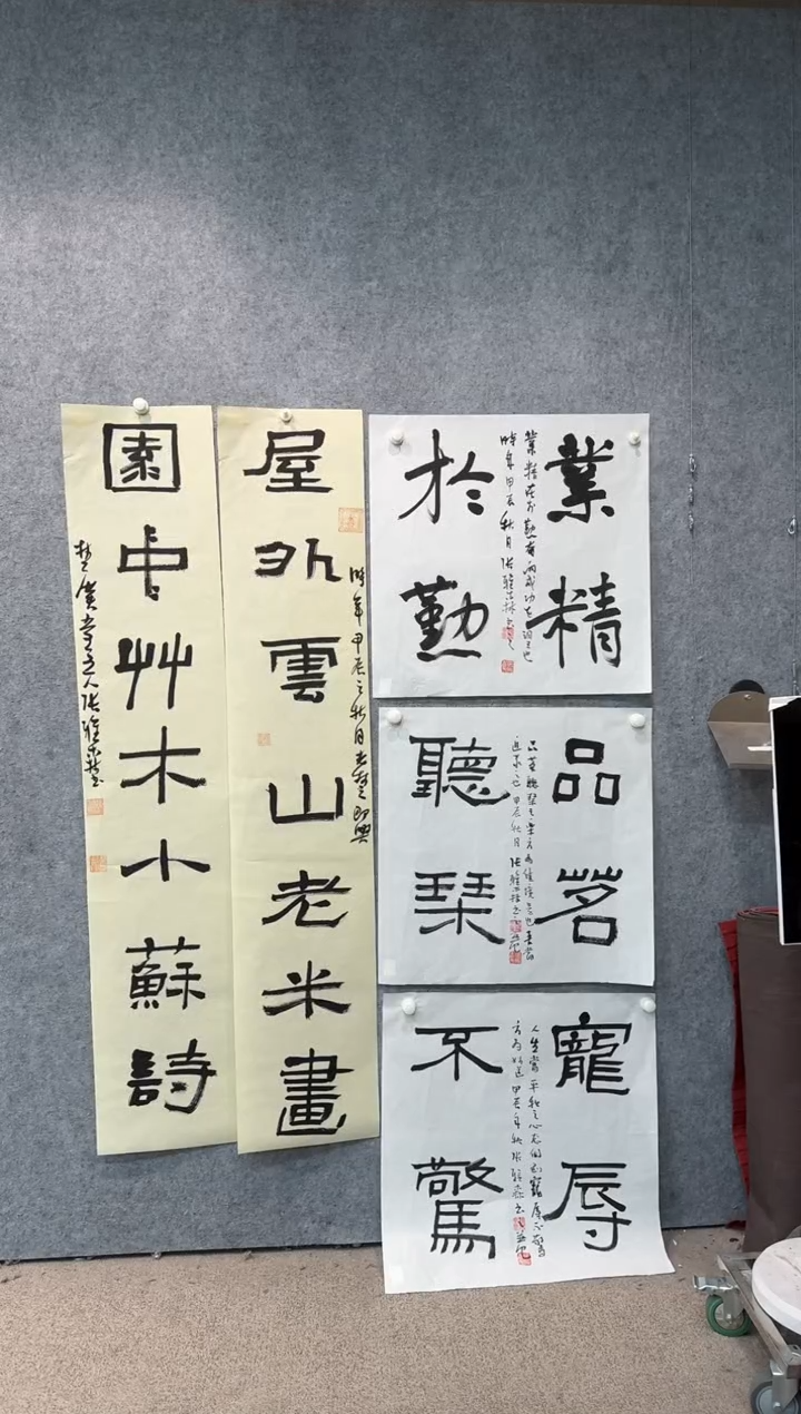 【闪购商品】书法pmw不二轩旗舰店书法ZYS25