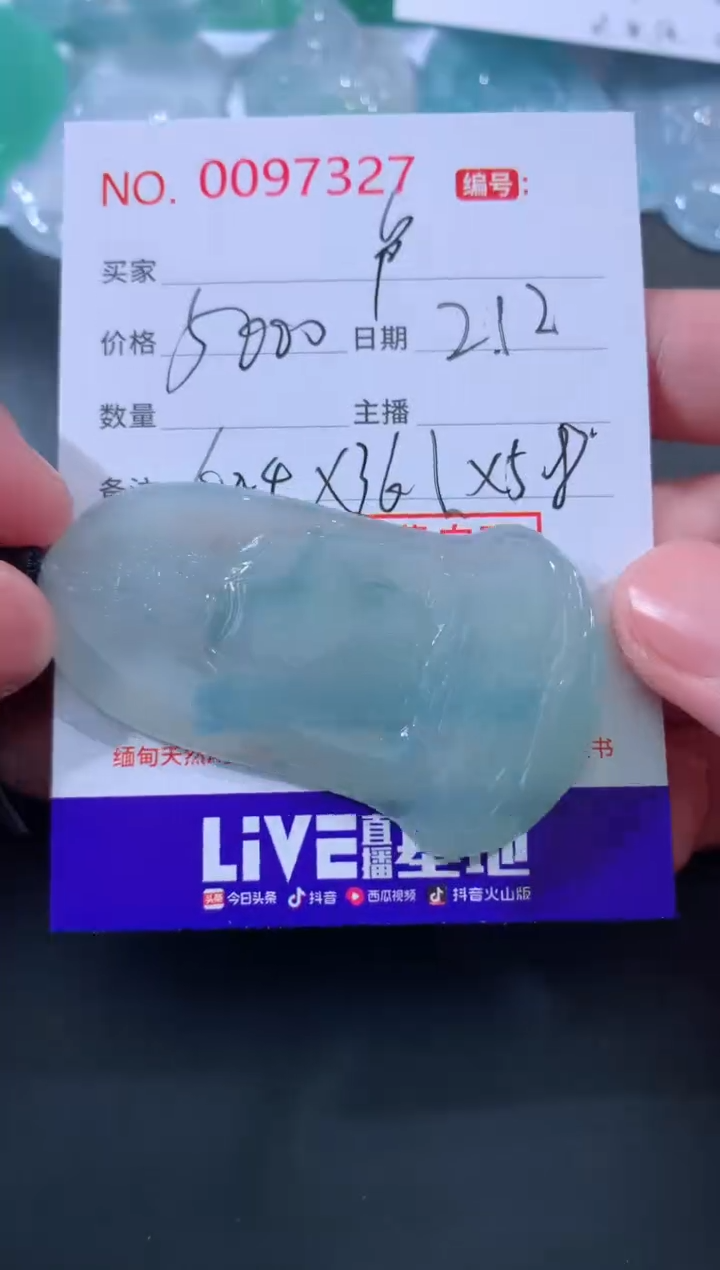 【闪购商品】翡翠颈饰未镶嵌卢