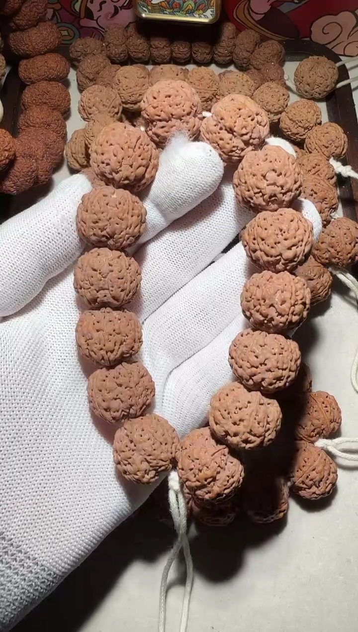 【闪购商品】金刚菩提手串超头针孔粗筋五星蜂王21