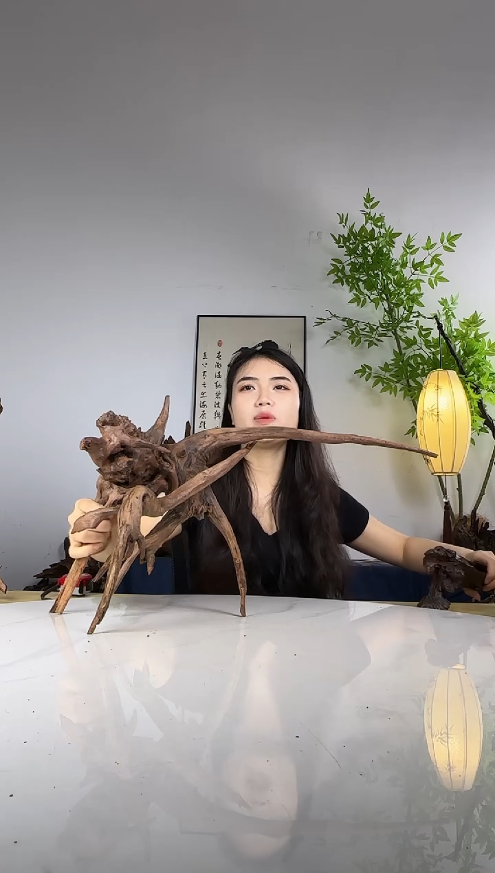 用****0拍沉木定向链接编号25