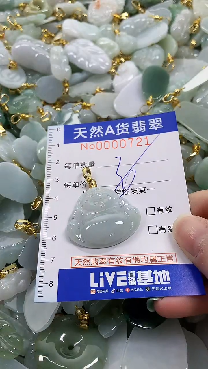 颈饰未镶嵌翡翠纯天然货翡翠