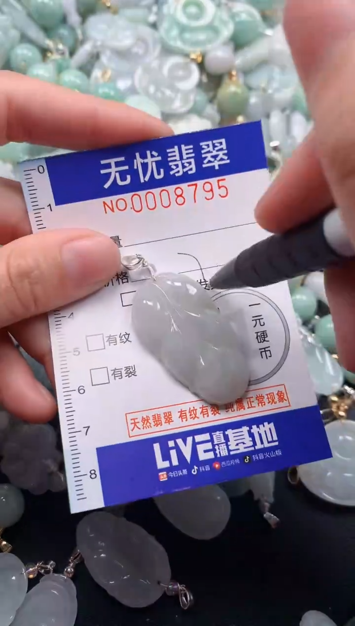 颈饰未镶嵌翡翠8795