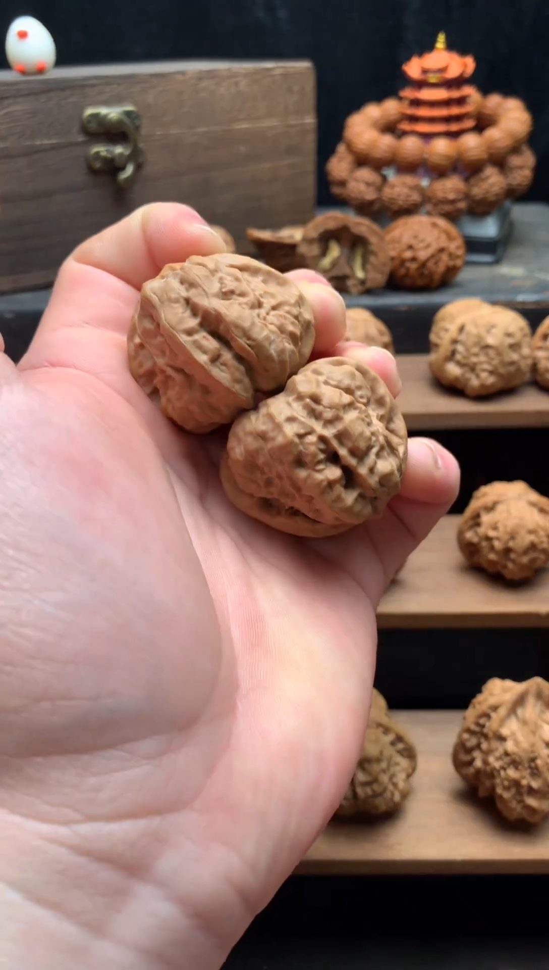 核桃一号链接边40肚41怀柔蛤蟆头 精品蛤蟆头