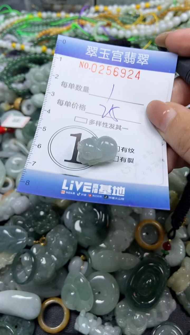 颈饰未镶嵌翡翠闪购C0256924