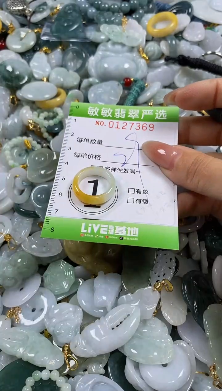 【闪购商品】翡翠颈饰未镶嵌闪购0127369