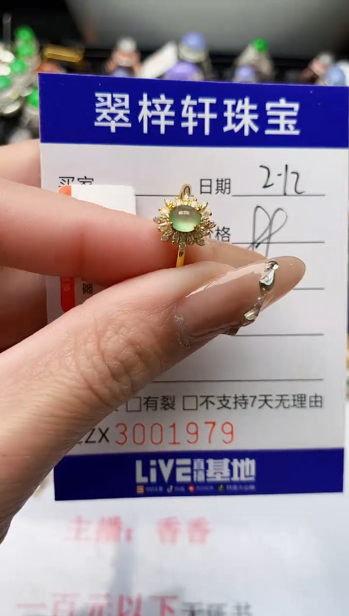 【闪购商品】翡翠戒指银S925镶嵌/1979