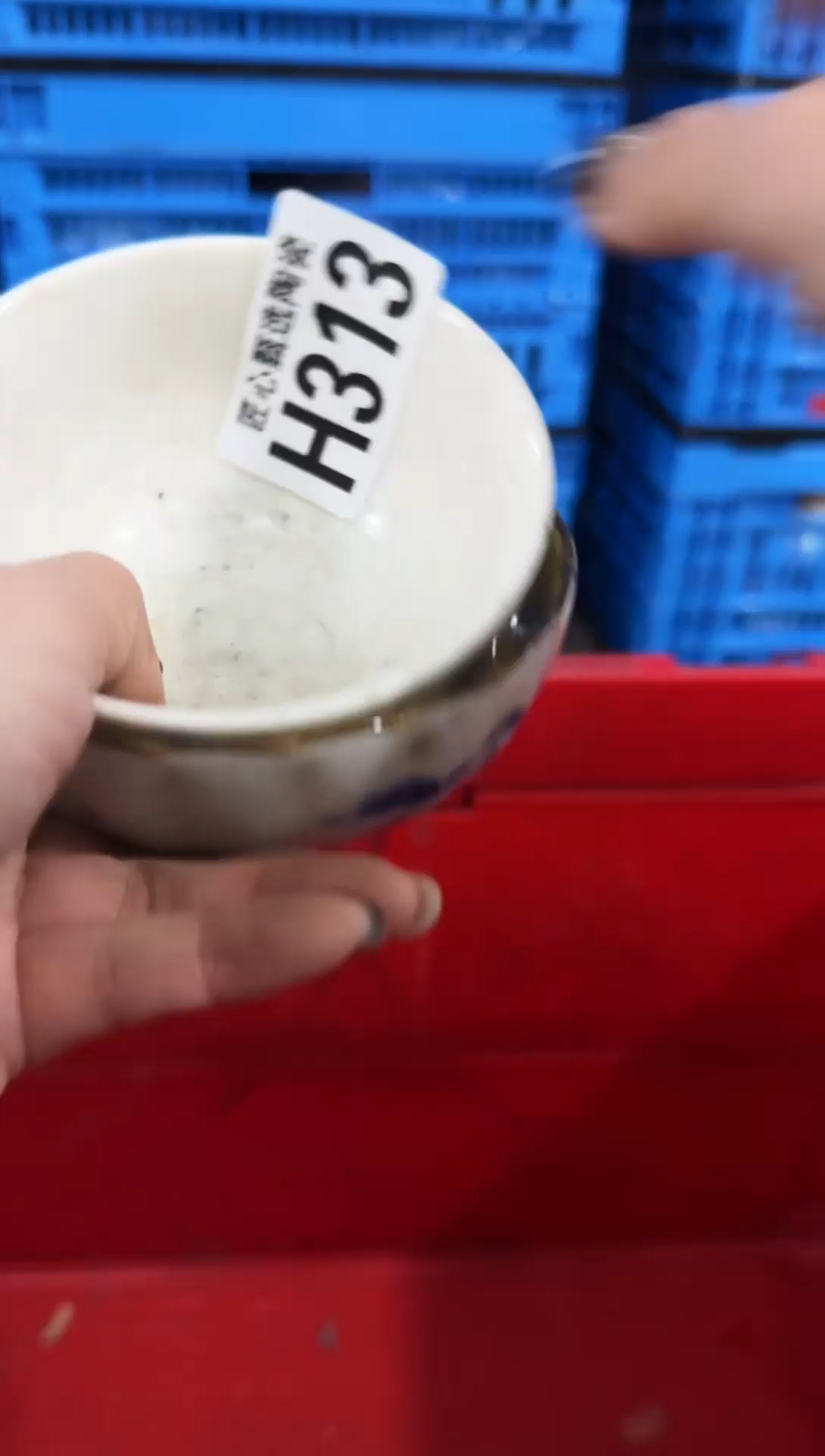 瓷片?****草         H313