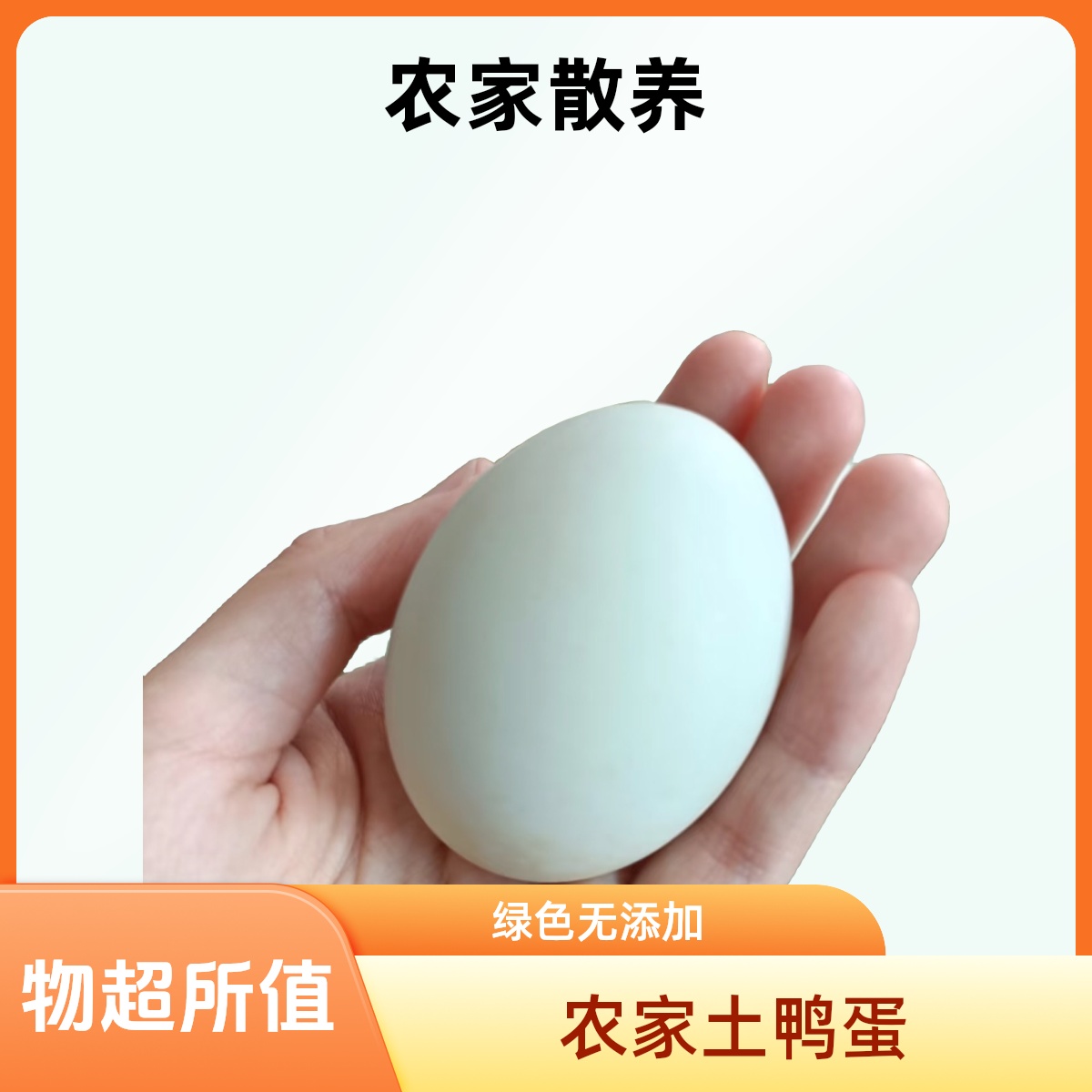[京东包邮40枚单个50克左右]散养无抗新鲜土鸭蛋鸭蛋新鲜