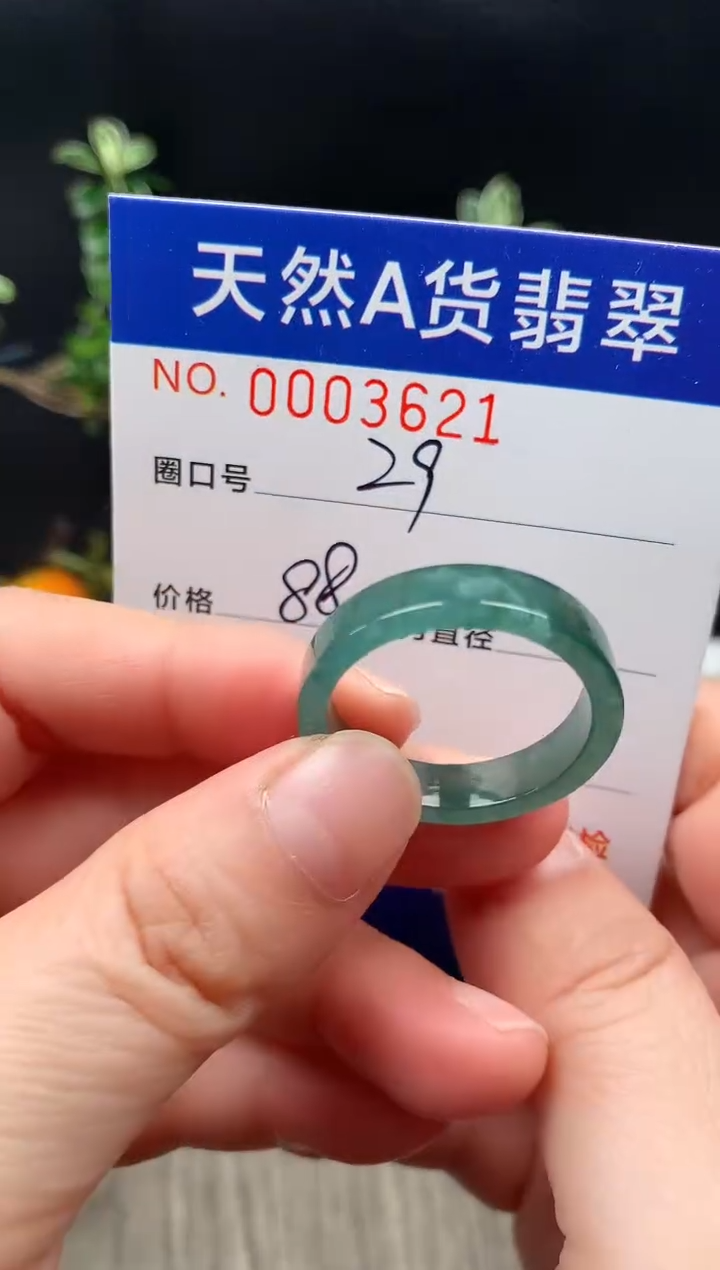 未镶嵌戒指翡翠送**王29#