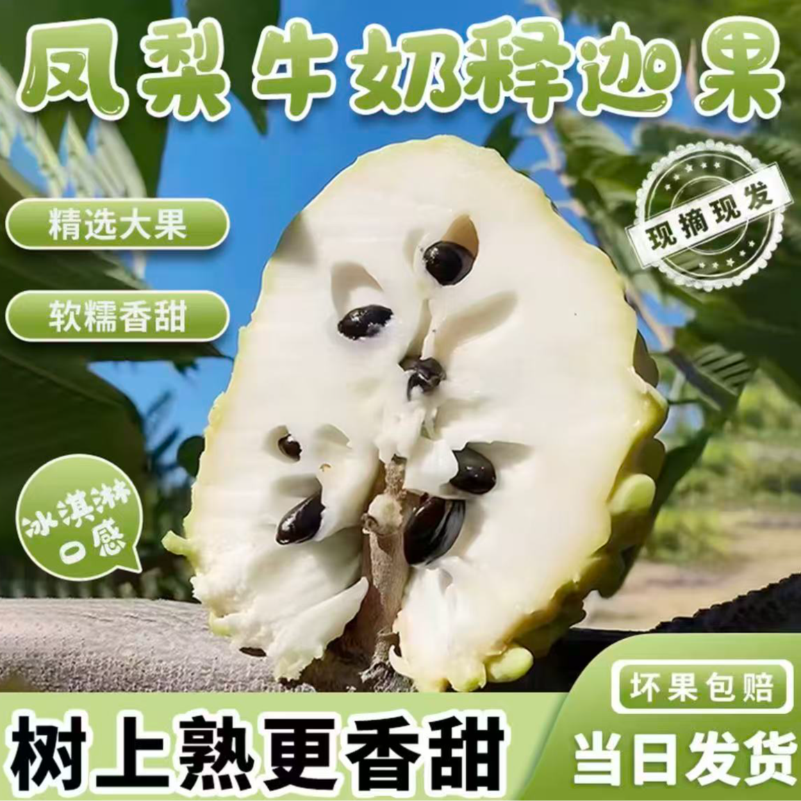 CZ新鲜凤梨释迦水果当季番荔枝牛奶释迦佛头果广西壮族自治区