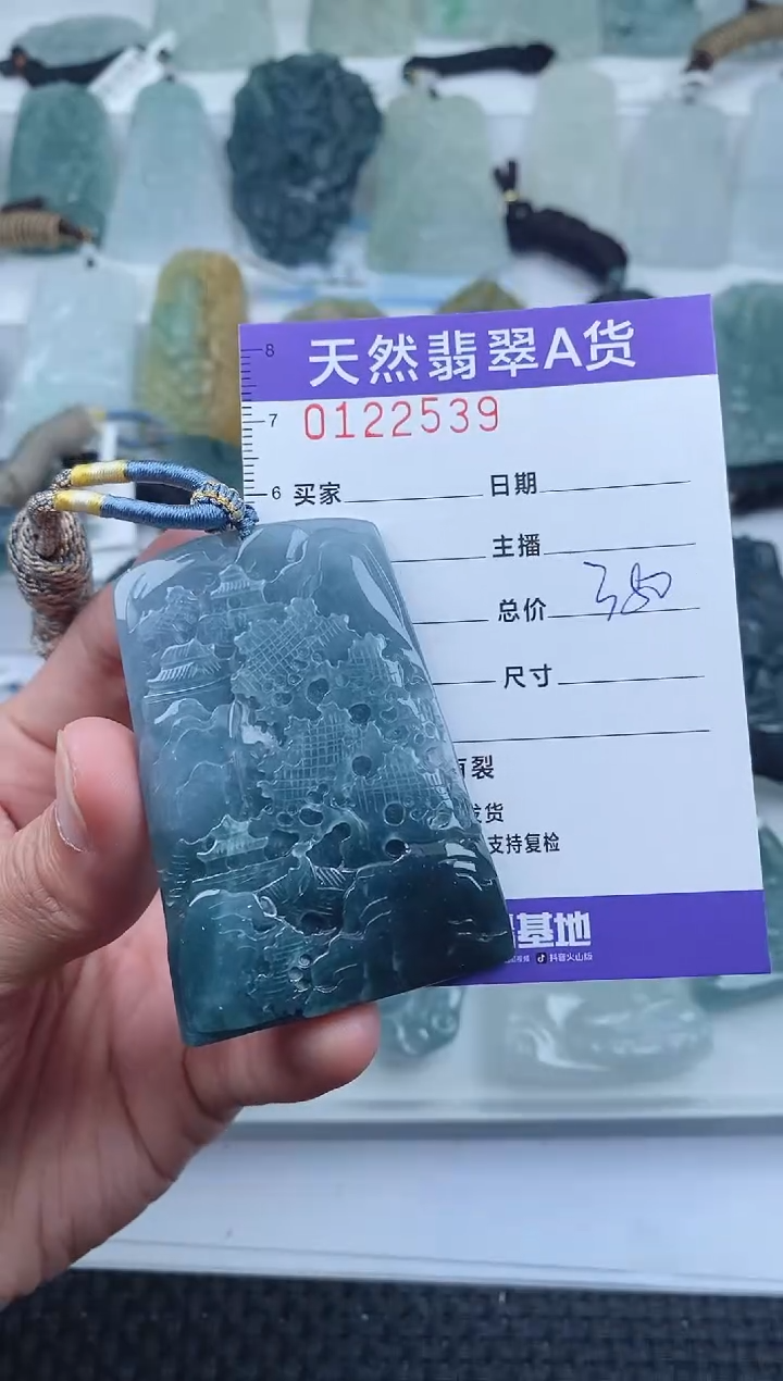 【闪购商品】翡翠颈饰未镶嵌        539