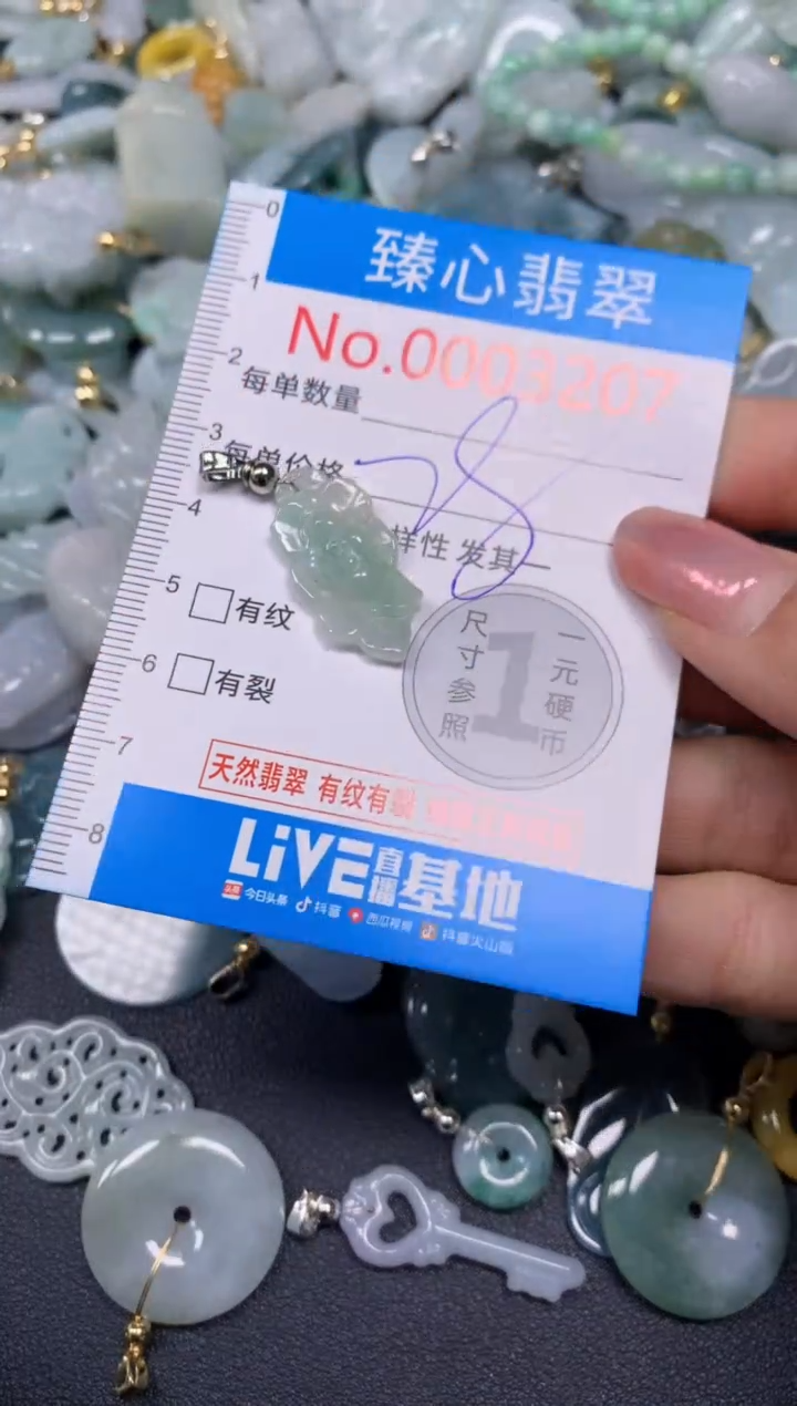 【闪购商品】翡翠颈饰未镶嵌含绳0003207