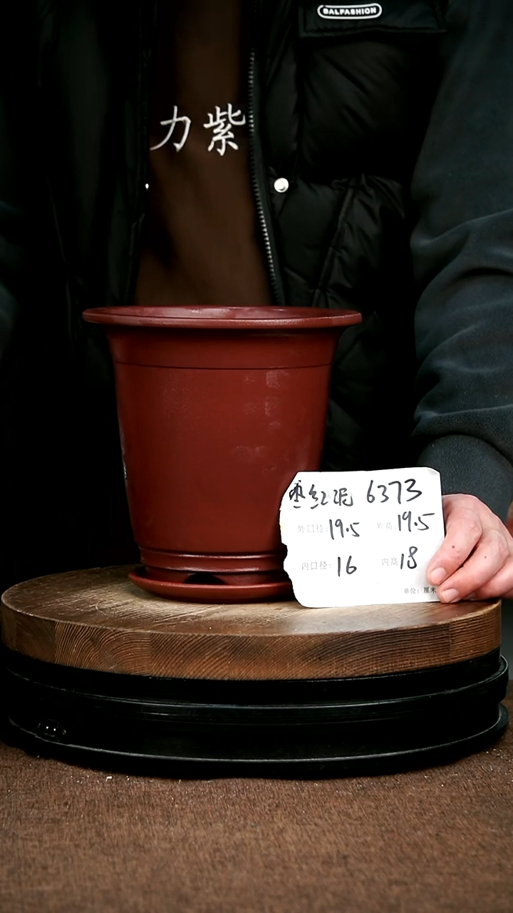 紫砂花盆花卉园艺6373+Z