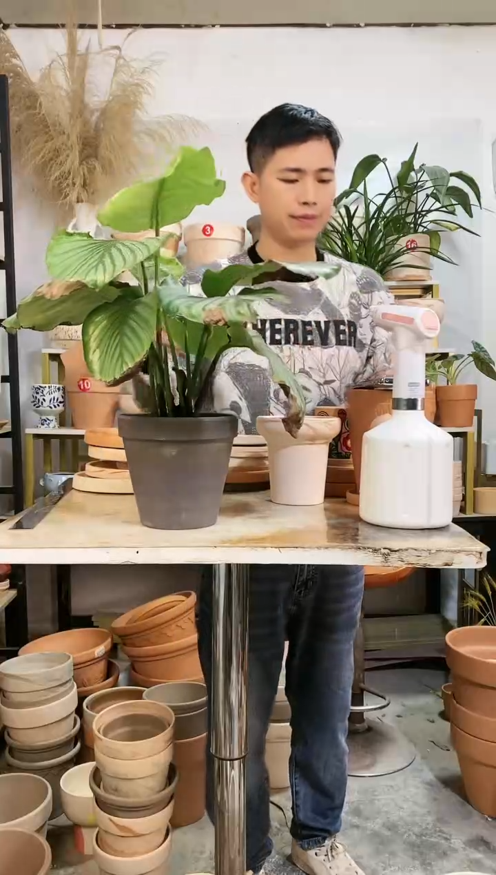 【闪购商品】红陶16*15黑陶 2盆无托