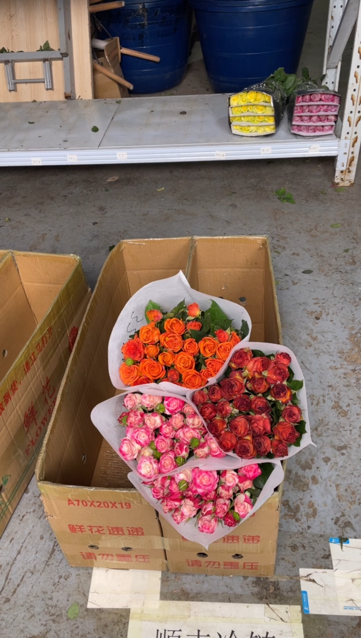 单头折射20枝2扎+单头巧克力20枝1扎+单头橙色芭比20枝1扎