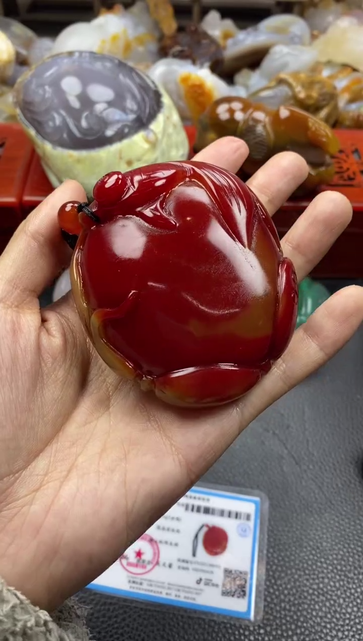 未镶嵌手把玛瑙/玉髓古**杨00