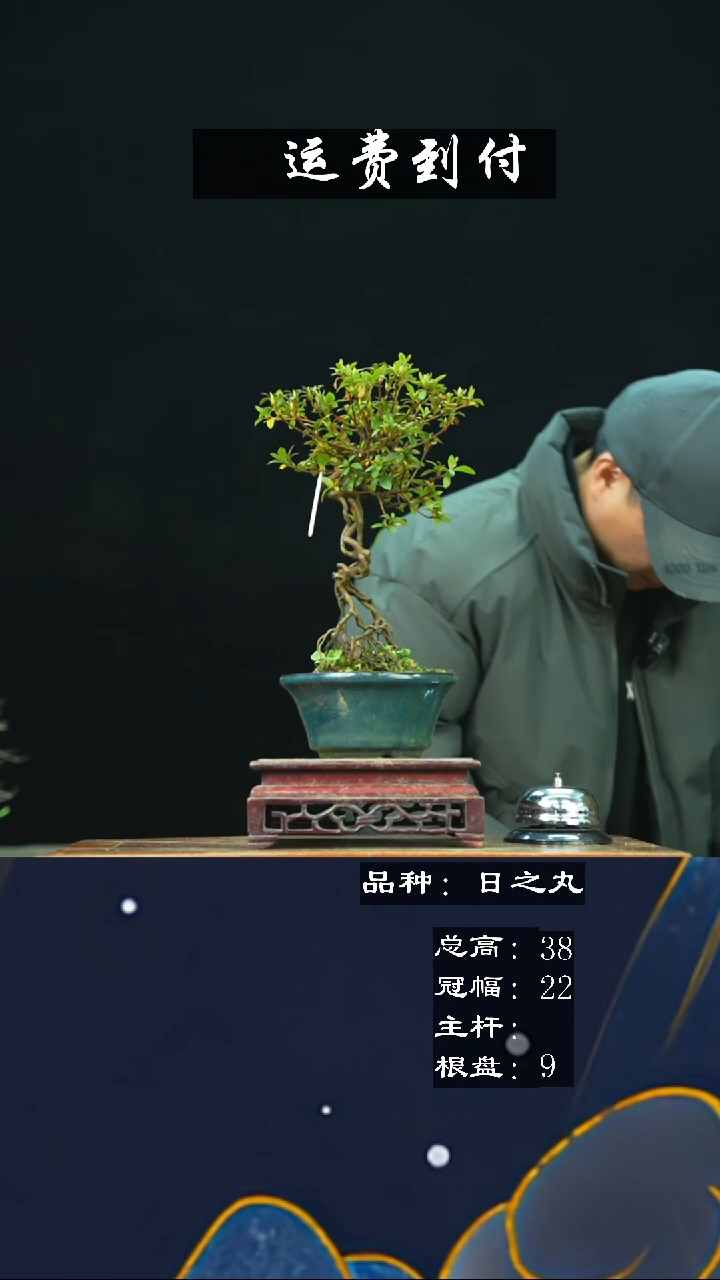 【闪购商品】无铅玻璃123日之丸