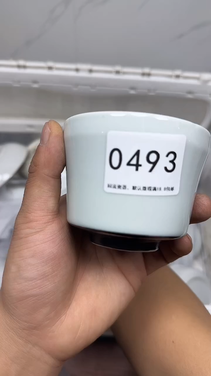 【闪购商品】493回流瓷器默认微瑕，18.8包邮