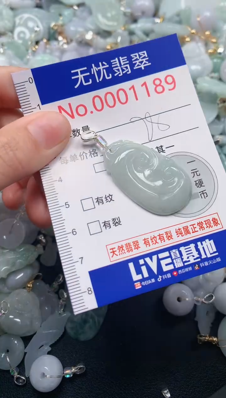 颈饰未镶嵌翡翠1189