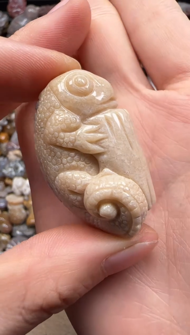 【闪购商品】硅化珊瑚（珊瑚玉）颈饰未镶嵌912