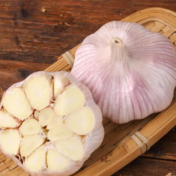 【南斗专属】 紫白皮大蒜大蒜头 干大蒜 可吃可种