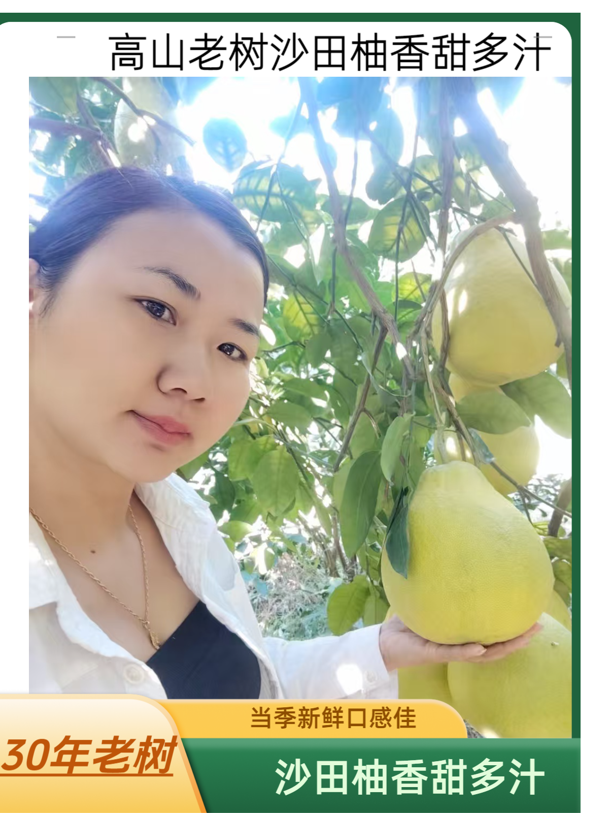 【外省】正宗沙田柚新鲜多汁香甜可口当季水果高山老树果