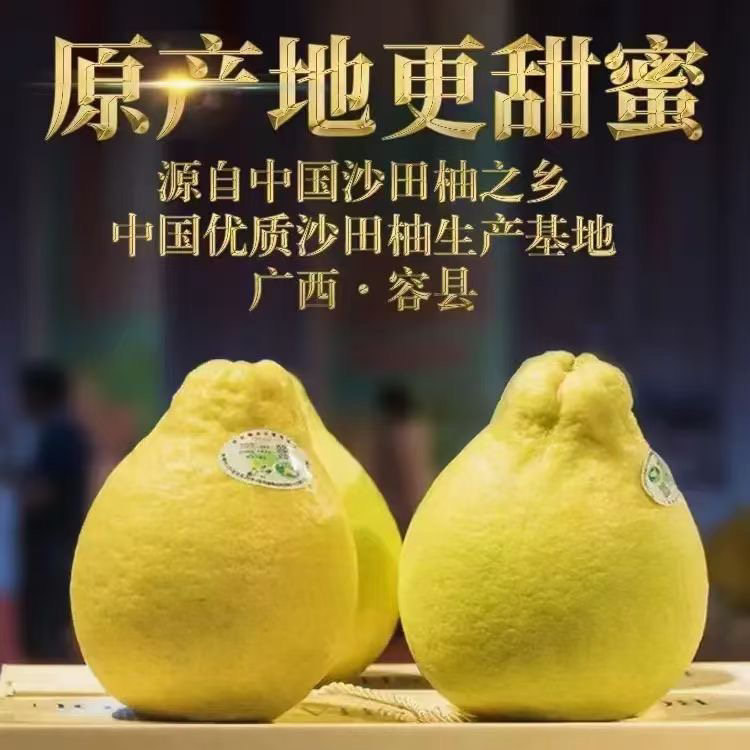 （礼盒装）广西容县沙田柚纯甜无酸山波上老树果