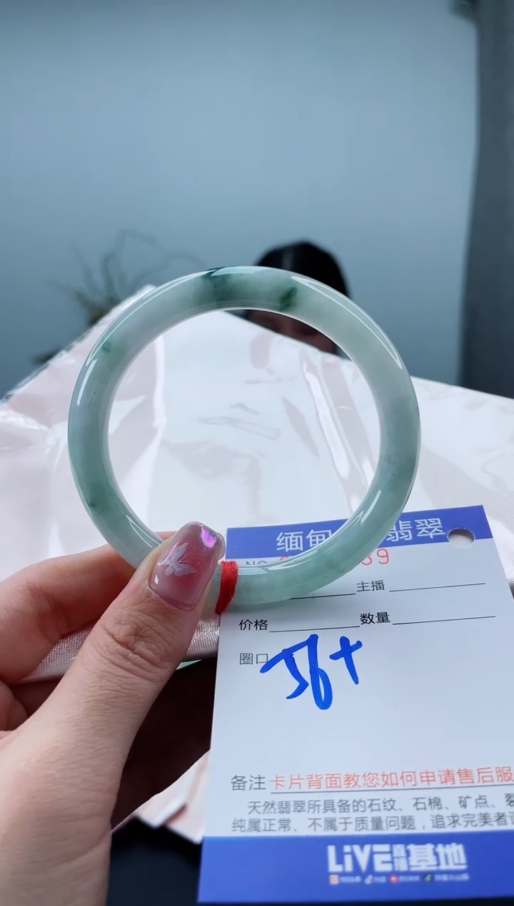 未镶嵌手镯翡翠2