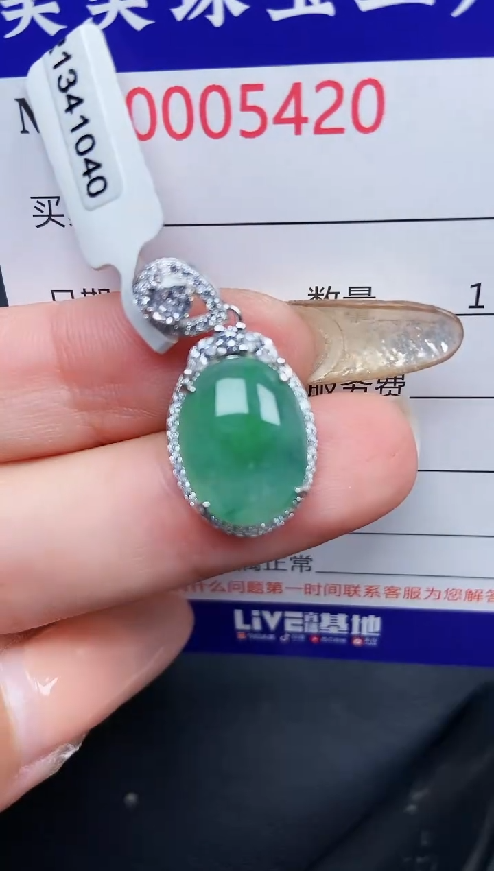 【闪购商品】翡翠颈饰银S925镶嵌5420
