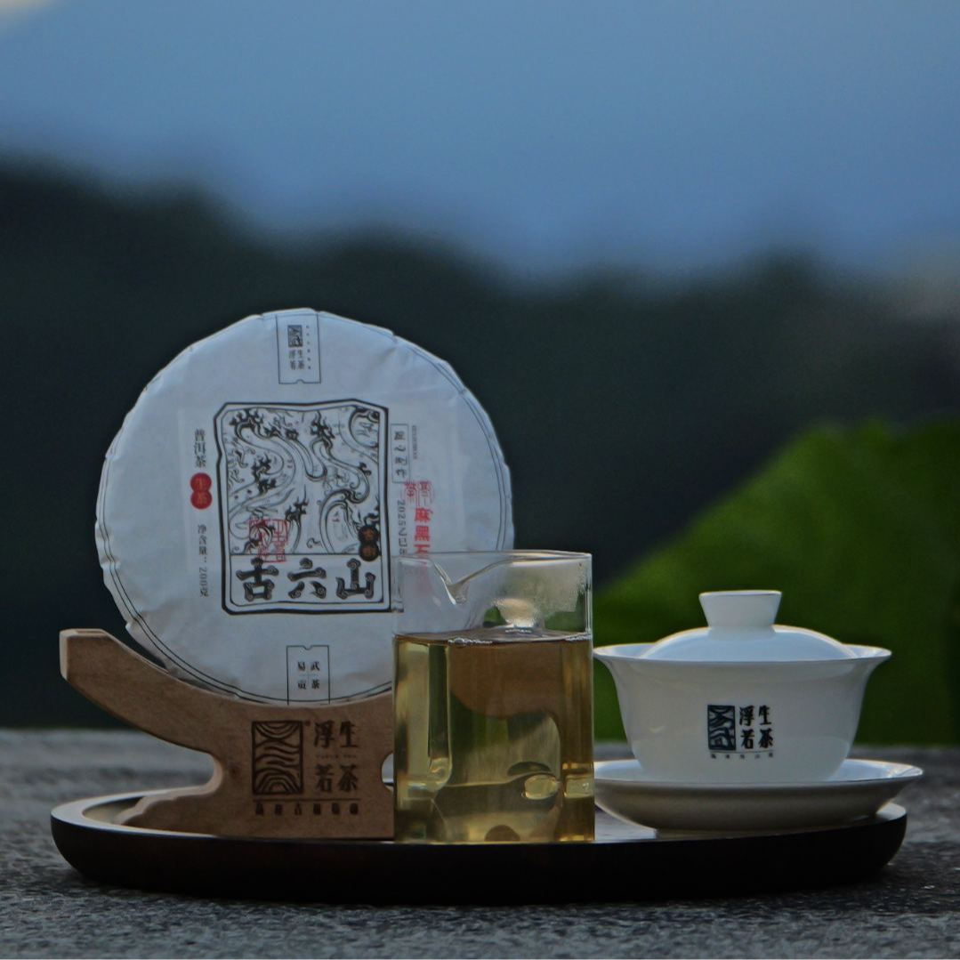 浮生若茶2025年古六山麻黑石门坎普洱茶头春古树生茶200克/饼