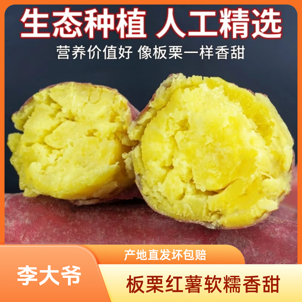 T【买3送2到手5斤】正宗板栗红薯新鲜现挖软糯香甜产地直发坏瓜包赔