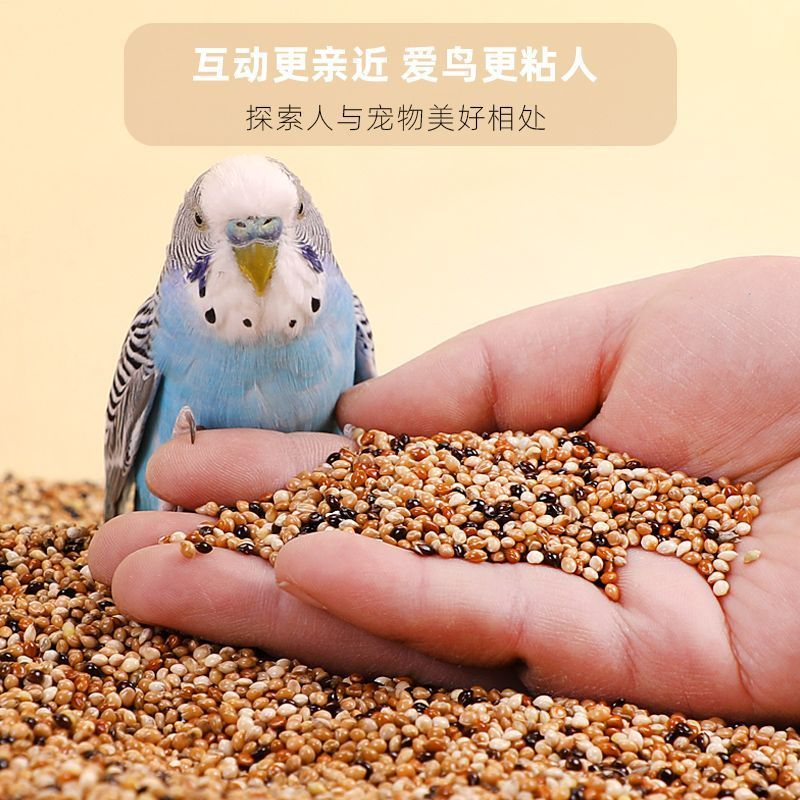 5斤装鹦鹉专用鸟粮C