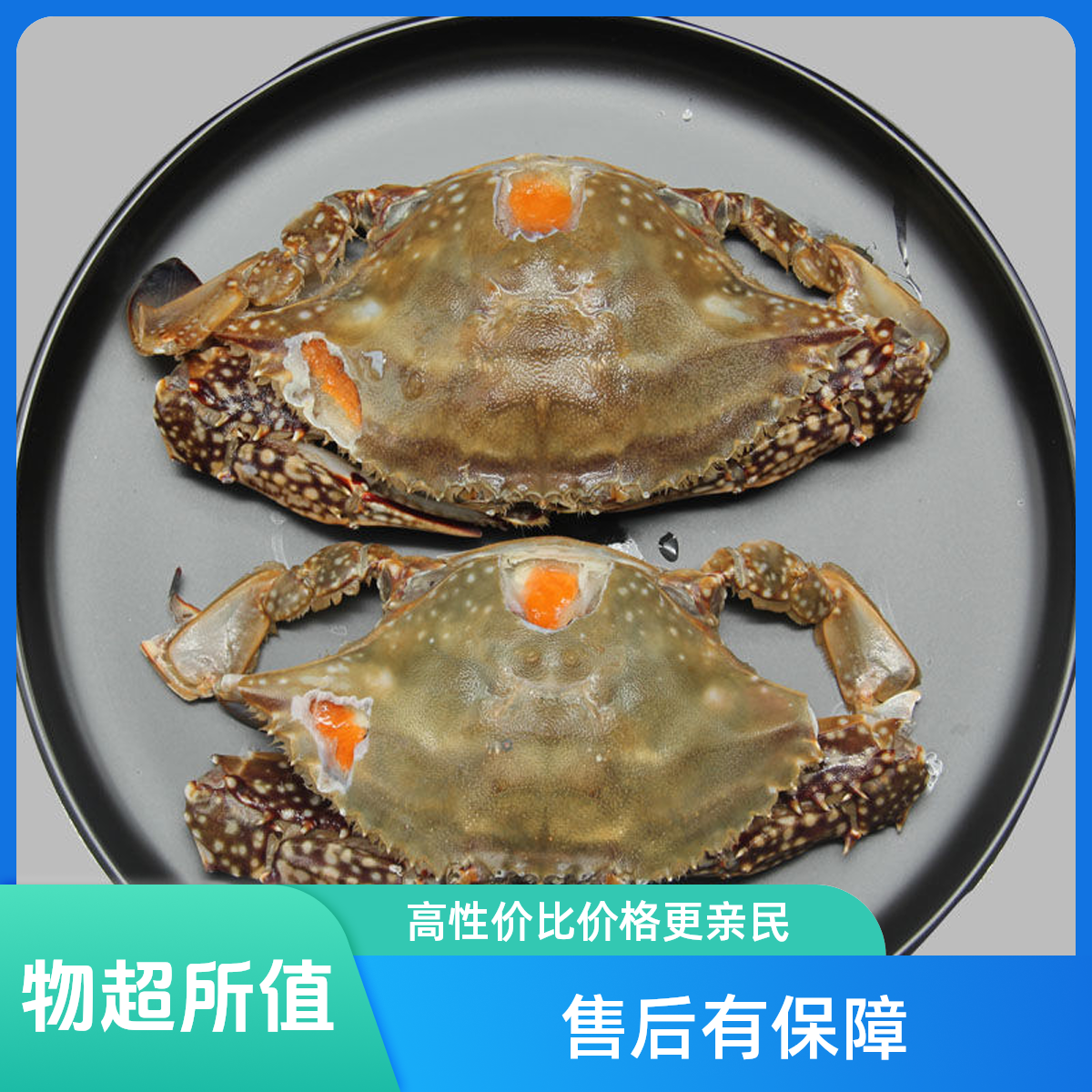 （姐弟海鲜）舟山精品红膏呛蟹4两左右/只醉蟹生腌即食不能蒸煮