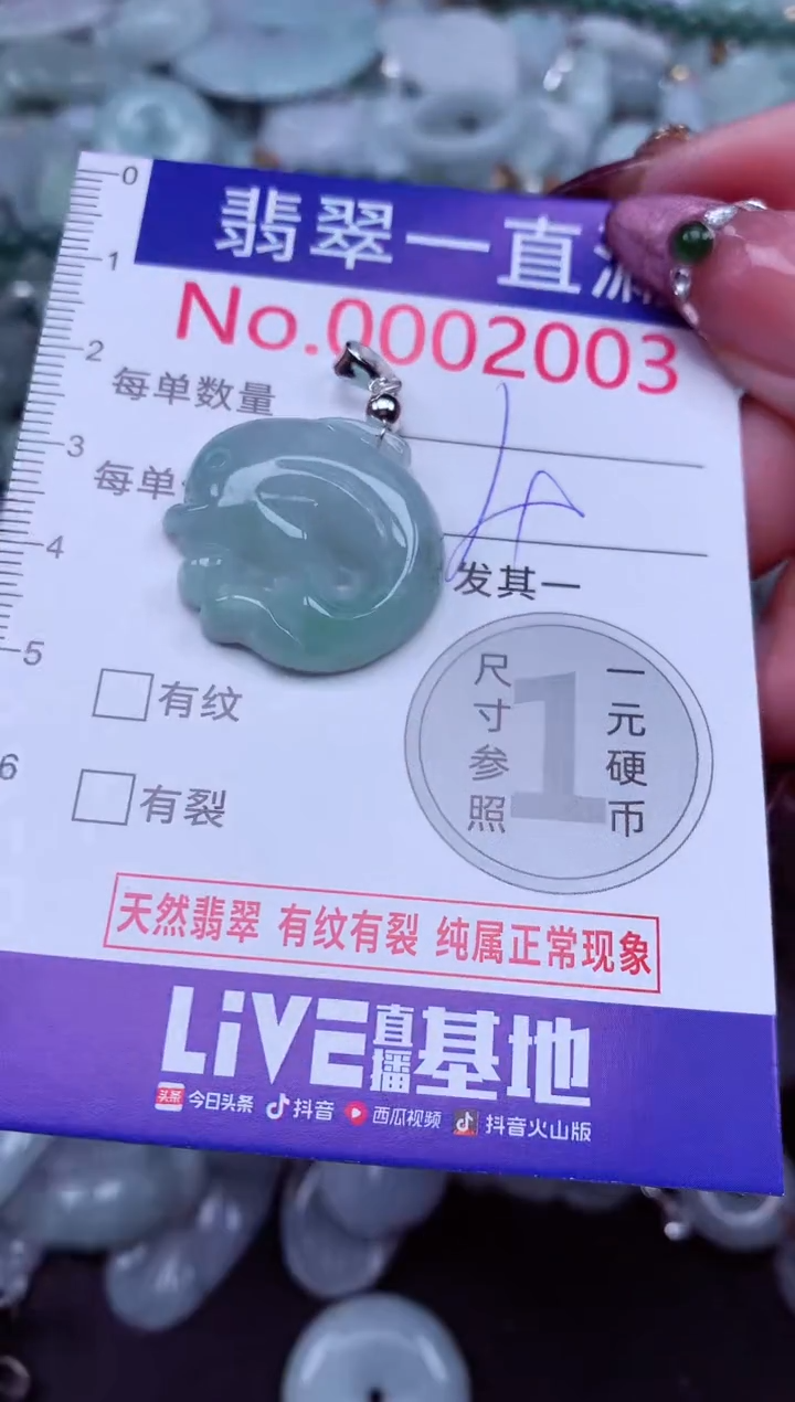 吊坠(不含链)未镶嵌翡翠2003