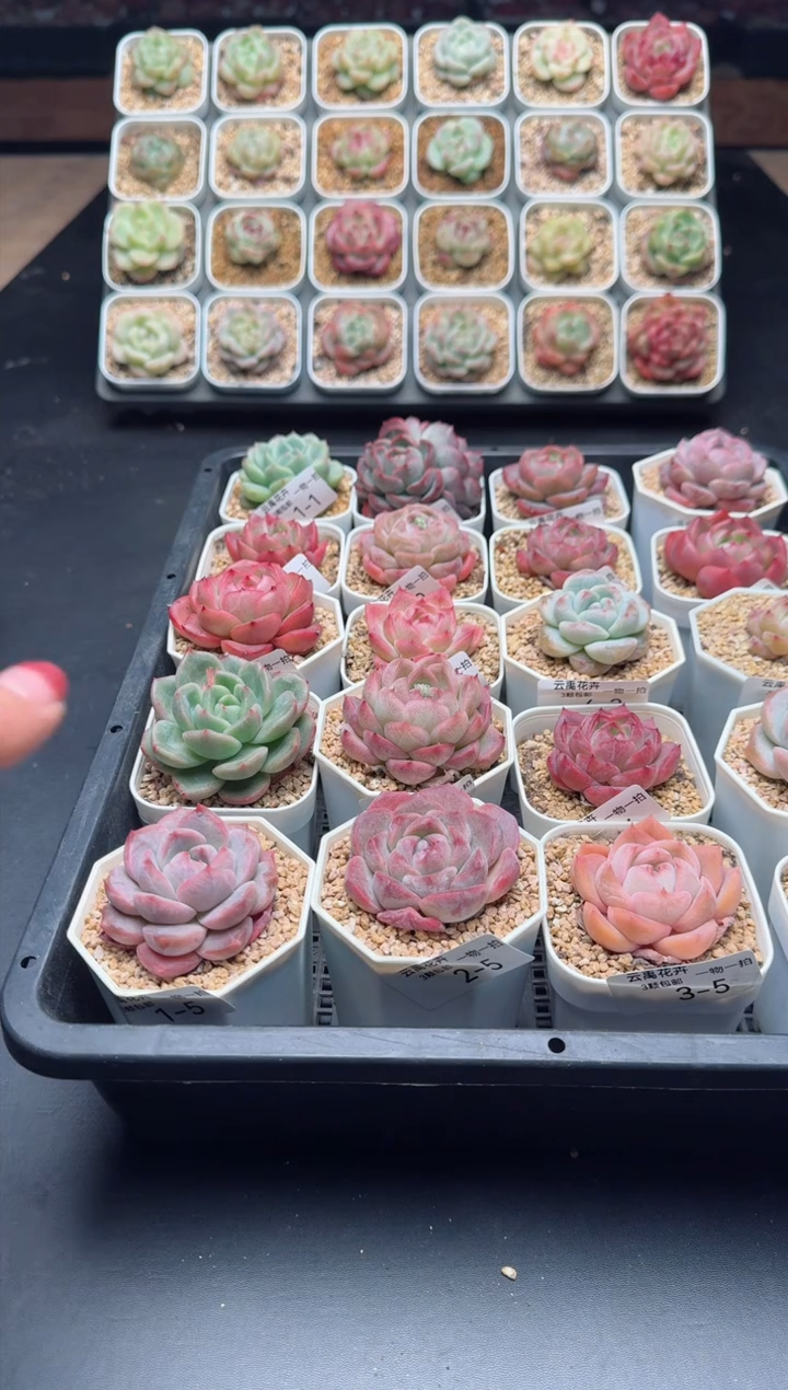 【闪购商品】补快递费链接