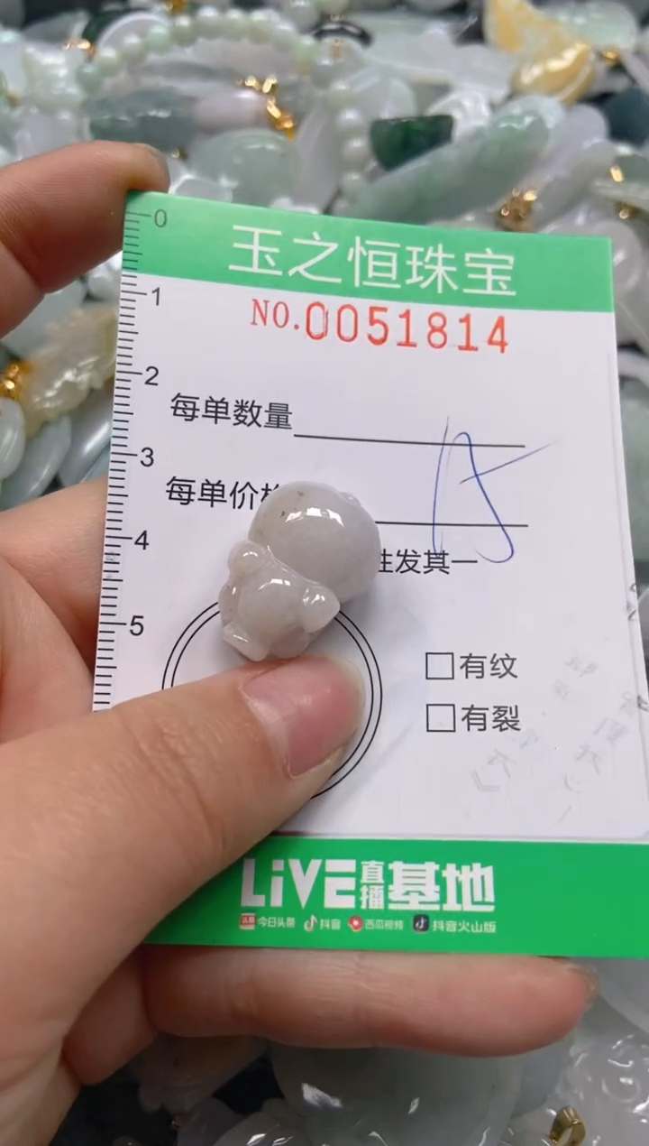 【闪购商品】翡翠颈饰未镶嵌闪购0051814