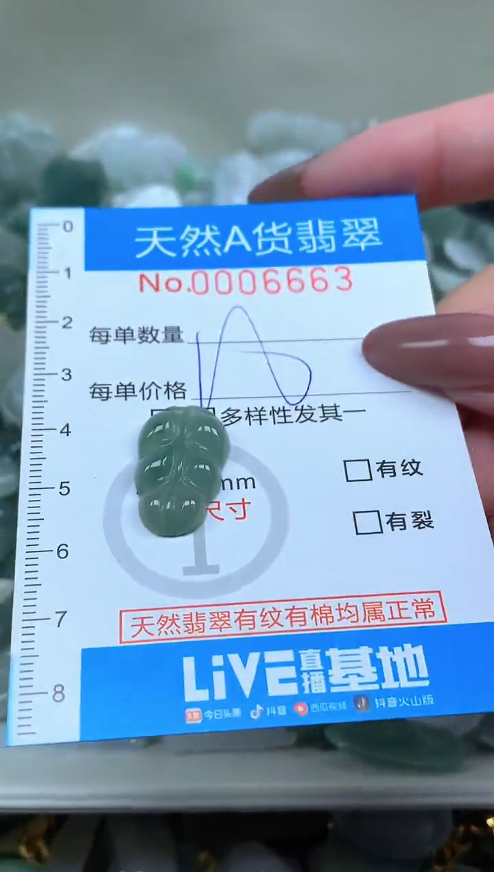 颈饰未镶嵌翡翠净货挂件-6663