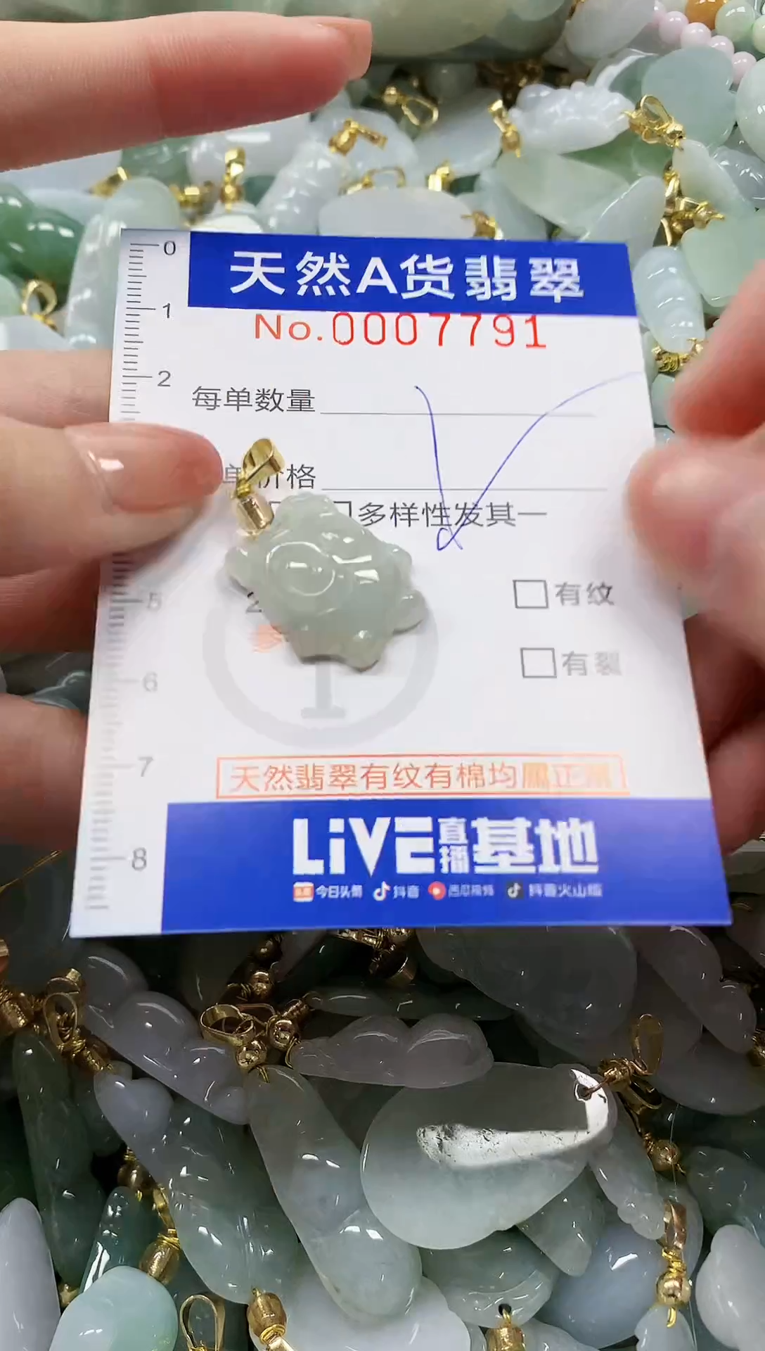 颈饰未镶嵌翡翠纯天然a货翡翠