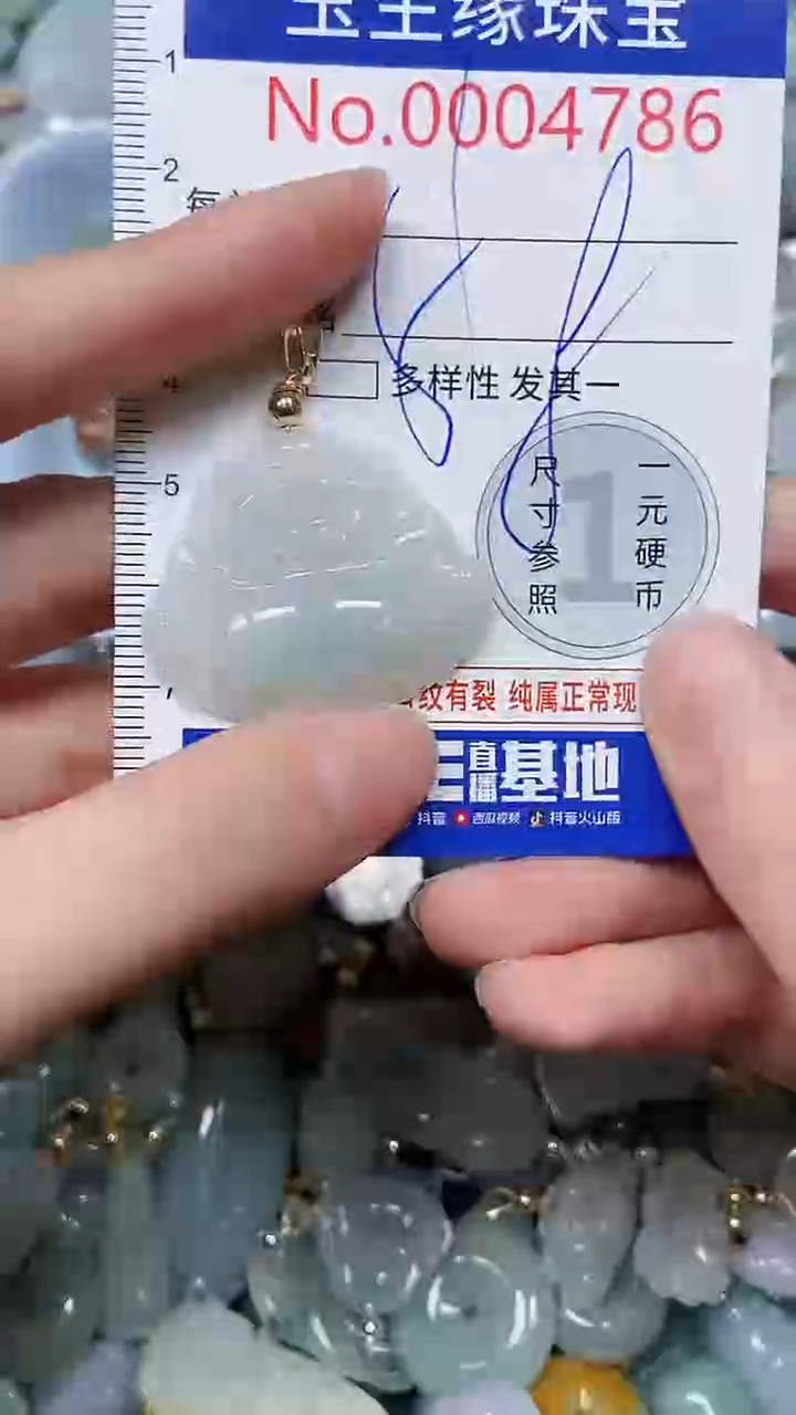 【闪购商品】翡翠颈饰未镶嵌闪购00004786